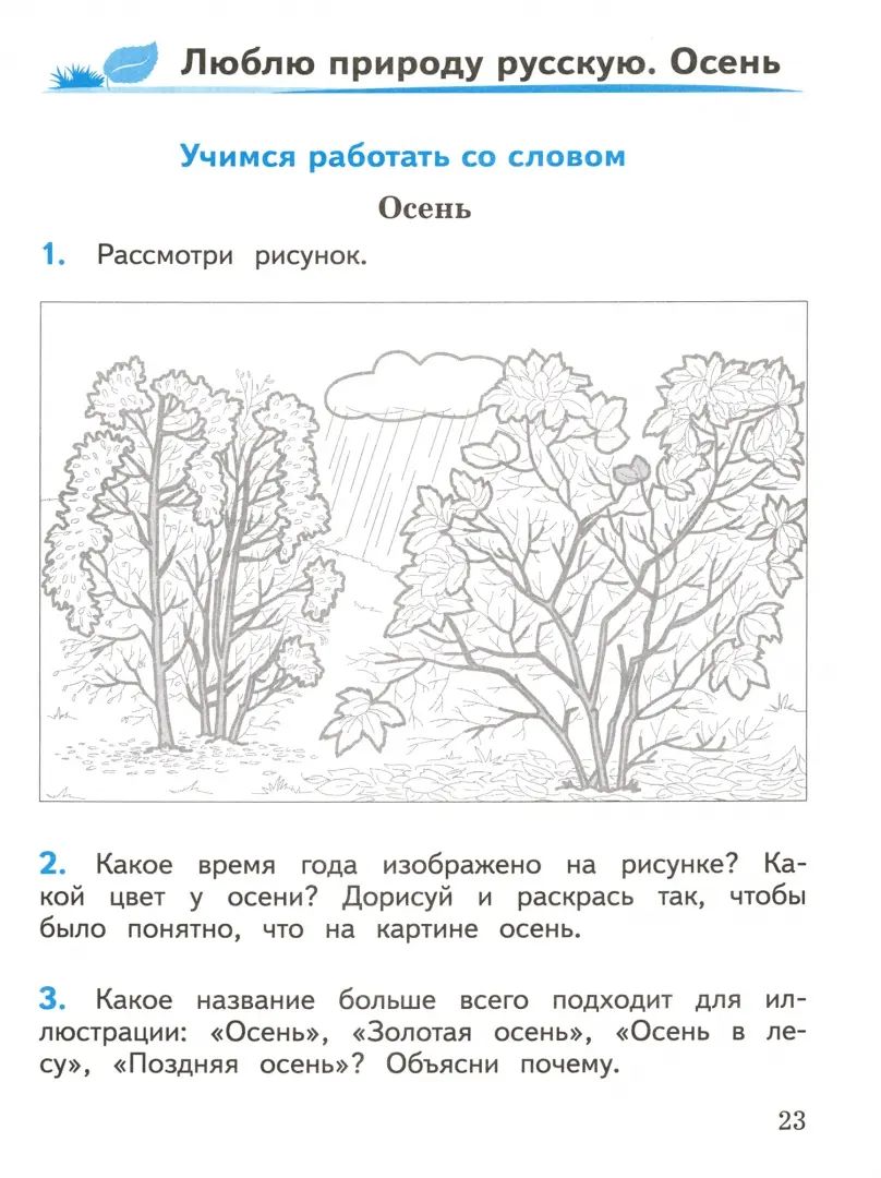Бойкина. (ФП2019/2022) Литературное чтение. 2 кл. Смысловое чтение. / УМК "Школа России"