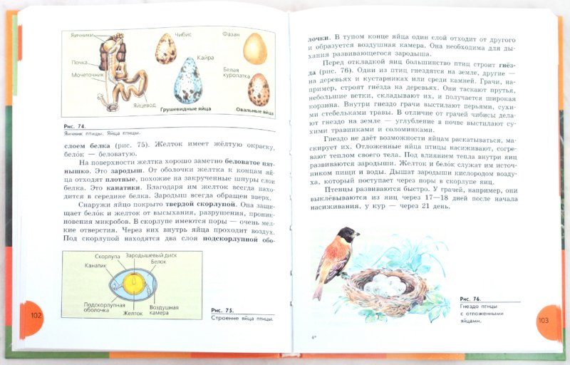 Биология 8кл Животные Учебник (интелл. наруш.)