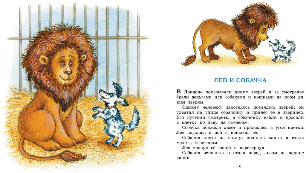 Рассказы и сказки