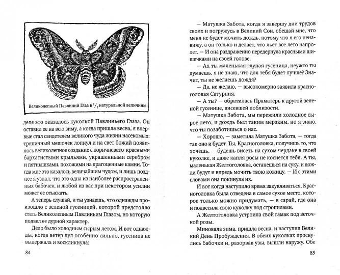 Лесные рассказы