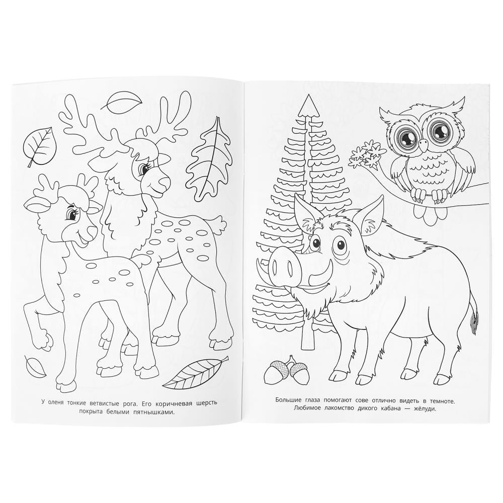 100 животных. Раскраска 100 картинок. 205х280 мм. Скрепка. 64 стр. Умка в кор.30шт