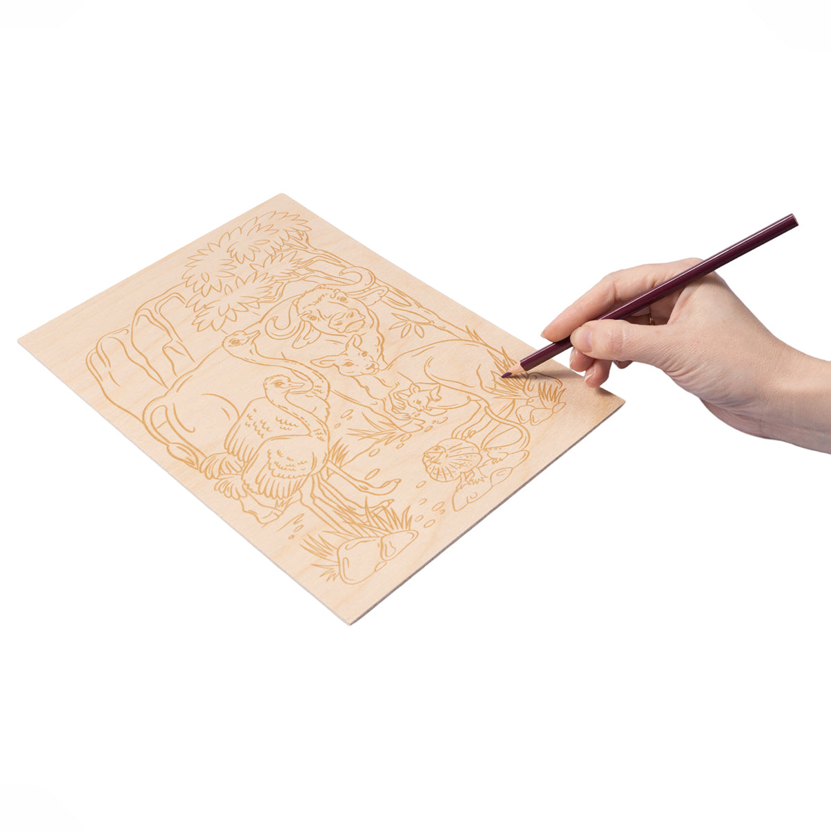 Выжигание. Дощечка для выжигания и росписи 1 шт "Австралия" А4 (конверт)