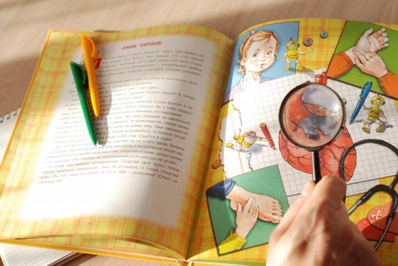 Как работает мое тело