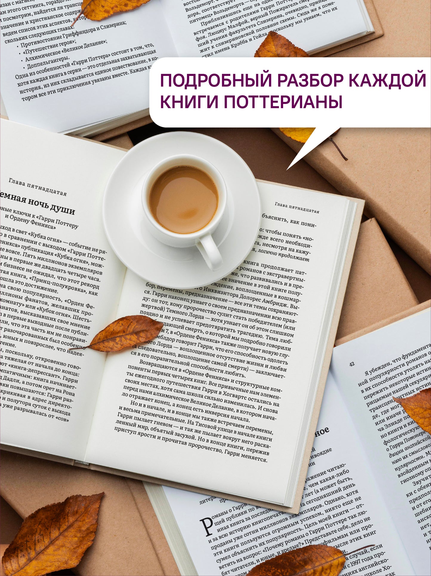 Как Гарри заколдовал мир.Скрытые смыслы произведений Дж.К.Роулинг +с/о