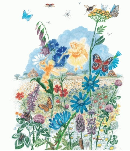 Лучшие рассказы и сказки о природе (ил. М. Белоусовой)