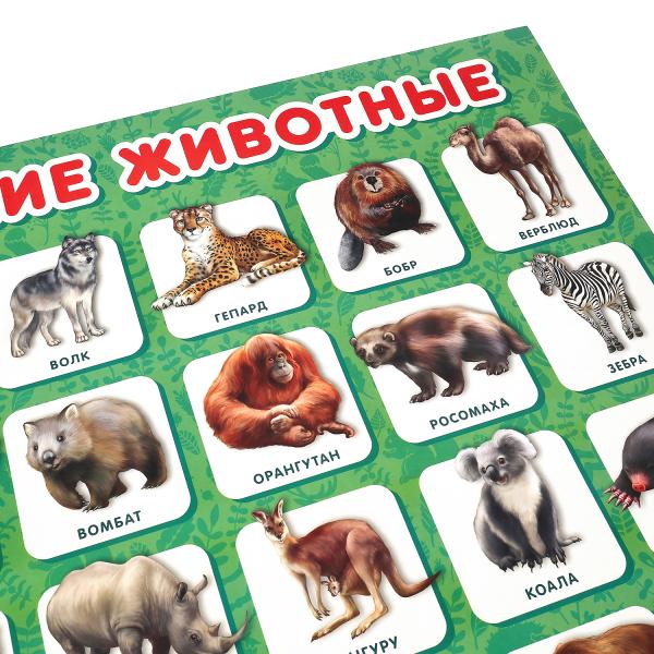 Дикие животные. Плакат А2. Умка уп-10шт в кор.5уп