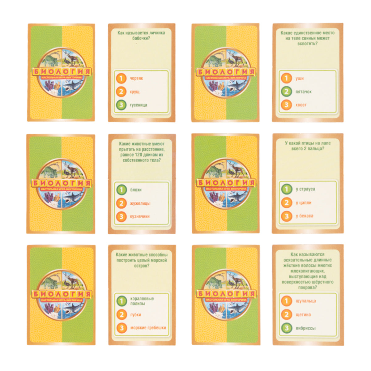 ДК.Игра настольная "Викторина Биология" арт.02831 /7