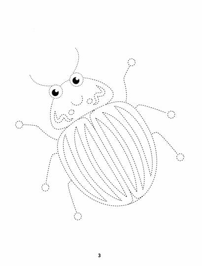 Жучки: обведи и раскрась: книжка-раскраска