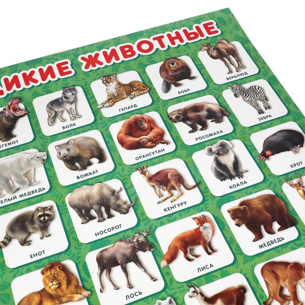 Дикие животные. Плакат А2. Умка уп-10шт в кор.5уп