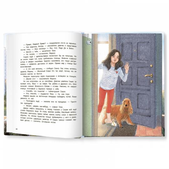 Мои соседи соколы