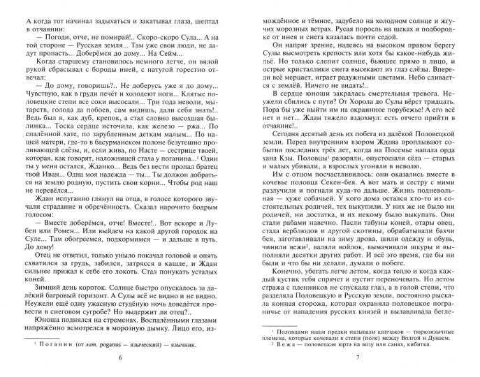 Князь Игорь. Витязи червлёных щитов
