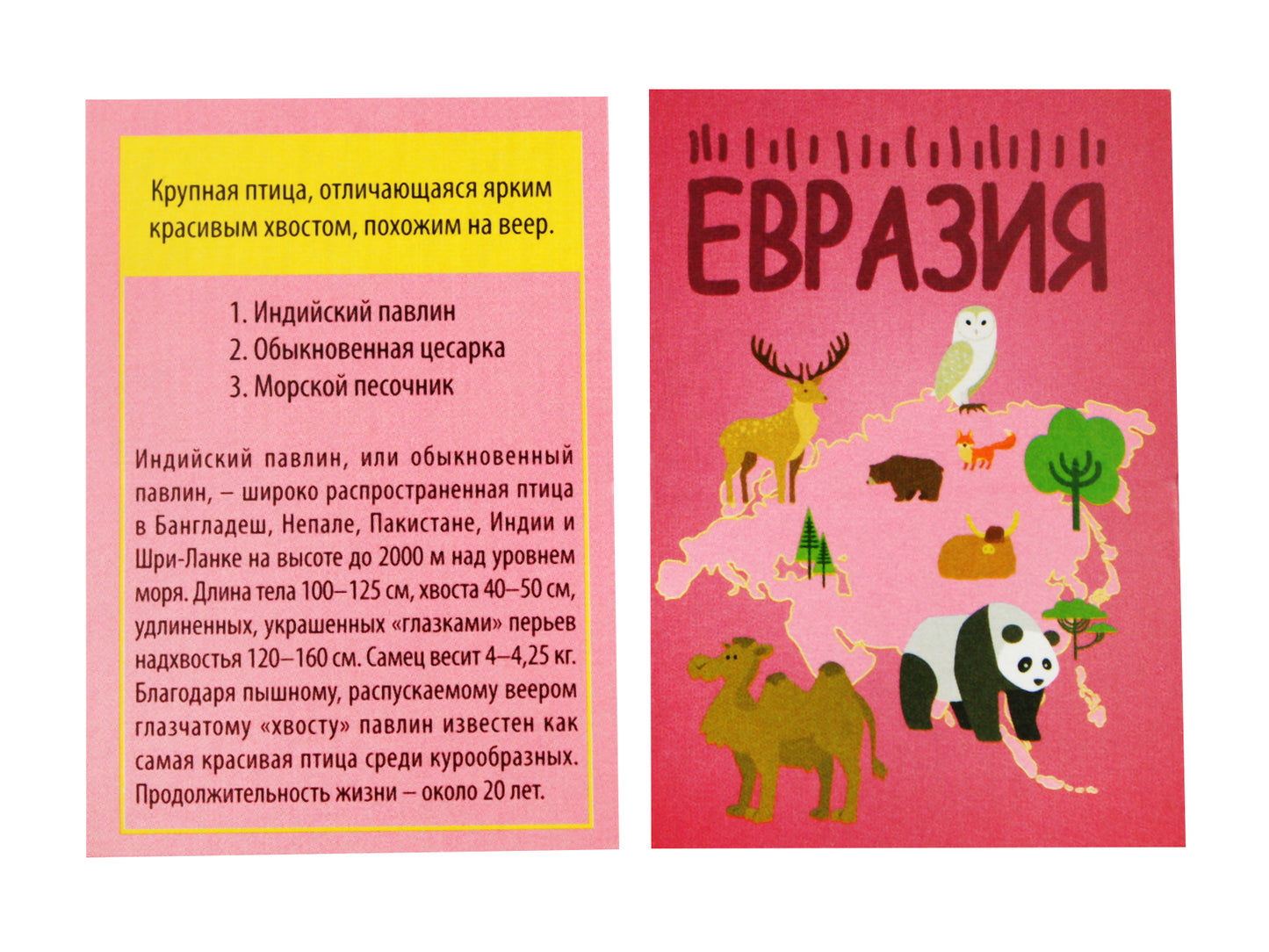 Игра настольная. Викторина для всей семьи "Мир"