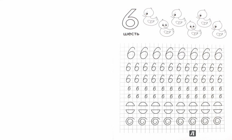 Пишем цифры:книга-тренажер ,