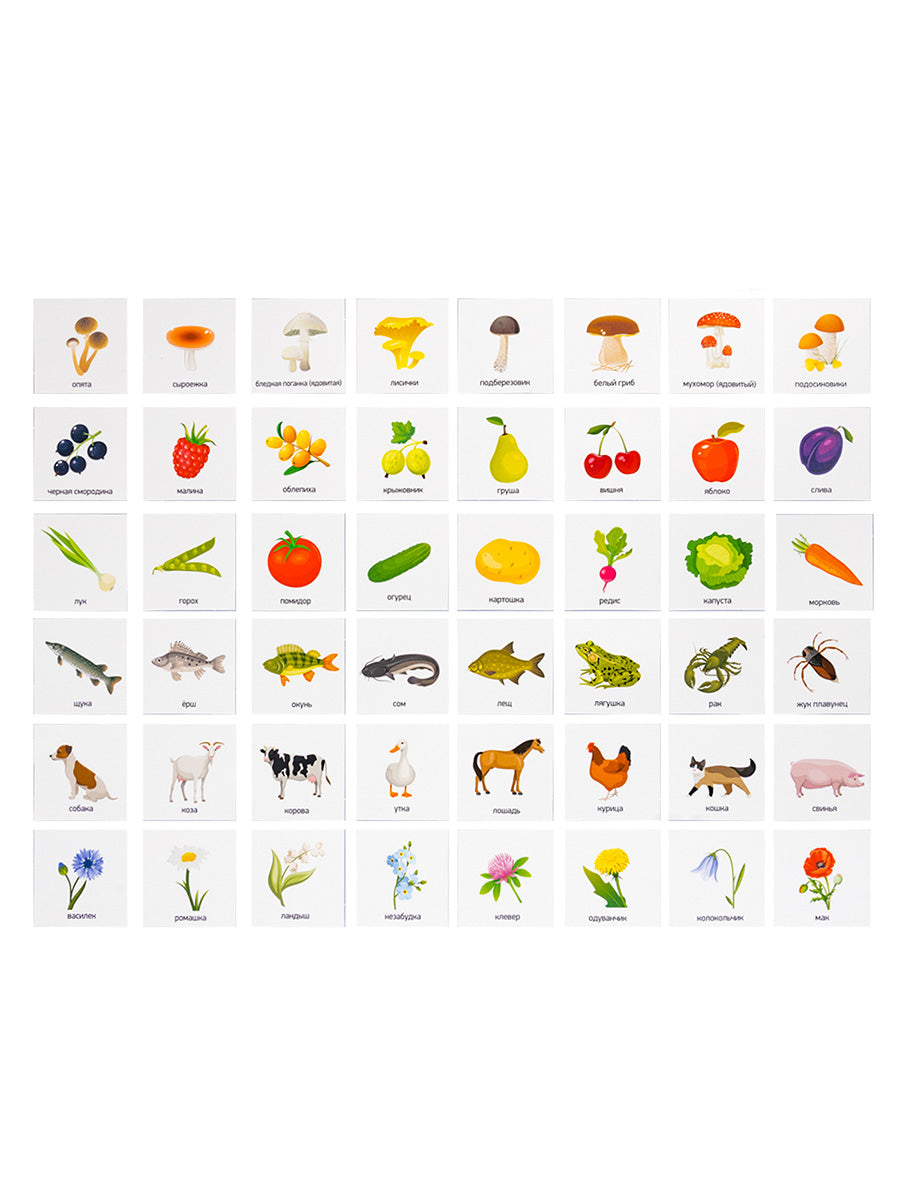 Лото "Лето в деревне" (большое)