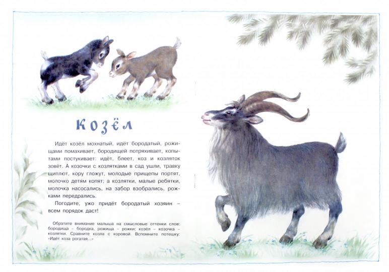 Для самых-самых маленьких. Жили у бабули (для детей 2-4 лет)