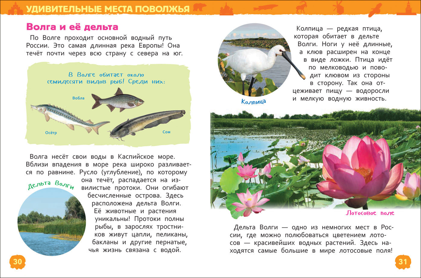 Чудеса России (Энциклопедия для детского сада)