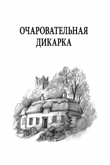 Очаровательная дикарка. Мистер Удача (ожидается поступление)