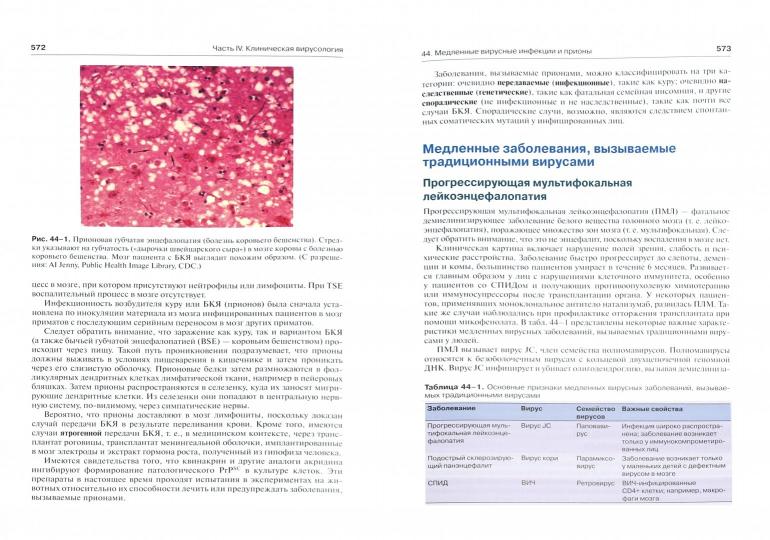 Медицинская микробиология и иммунология. 3-е изд., испр