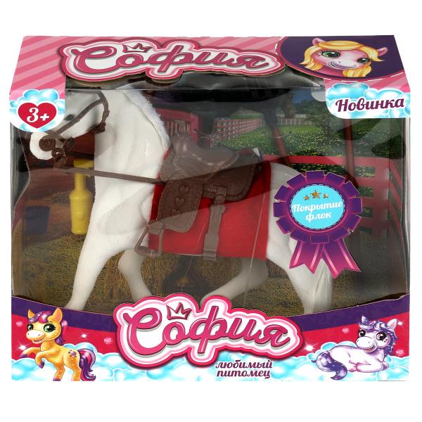 Les accessoires pour le cou 29 s'étendent sur les actes de la société, du 24 au 24 avril.