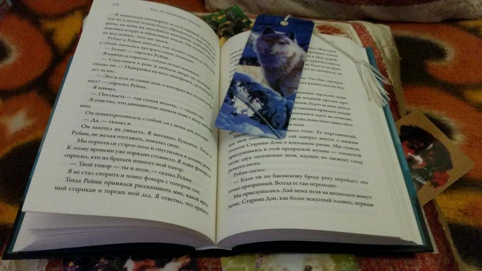 Там,где папоротник красный (плёнка)
