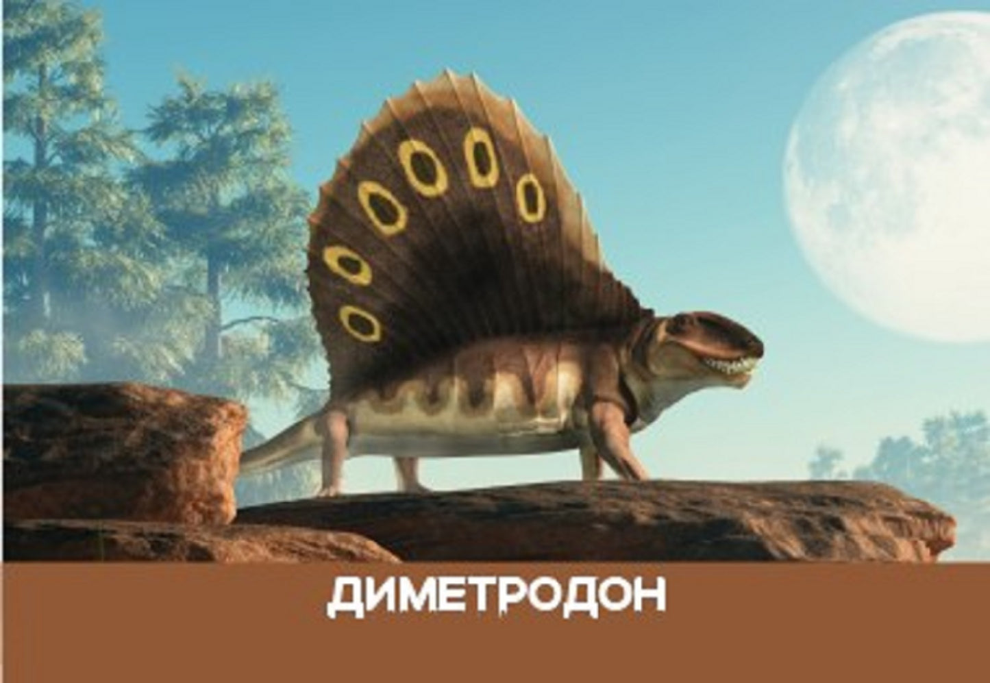 Игра настольная "МЕМО" Динозавры. Серия АКТИВ time