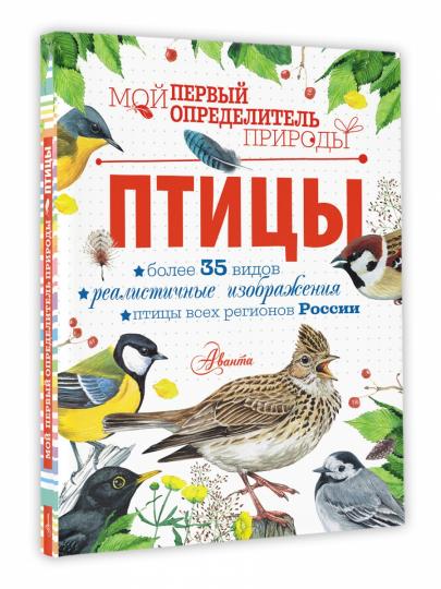 Птицы