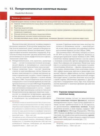 Мышцы в спорте. Анатомия. Физиология.Тренировки. Реабилитация. Под ред. Калашникова Д.Г.