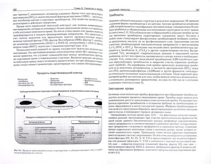 Патофизиология крови: монография