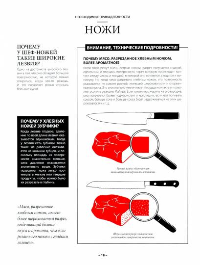 Почему спагетти болоньезе не существует? И еще 700 странных вопросов о кулинарии