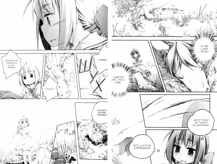 Записки о лечении волшебных зверей. Том 2