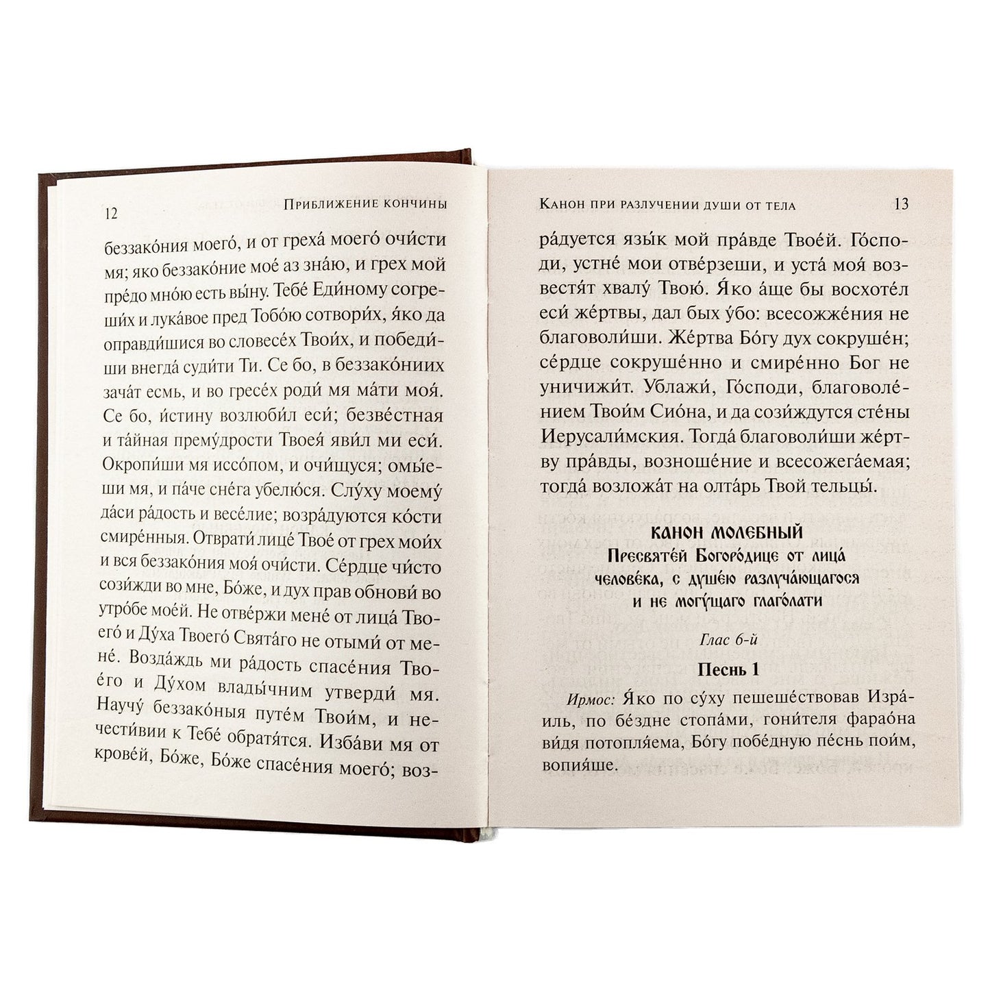 Псалтирь чтомая по усопшим. Каноны, молитвы, лития и панихида