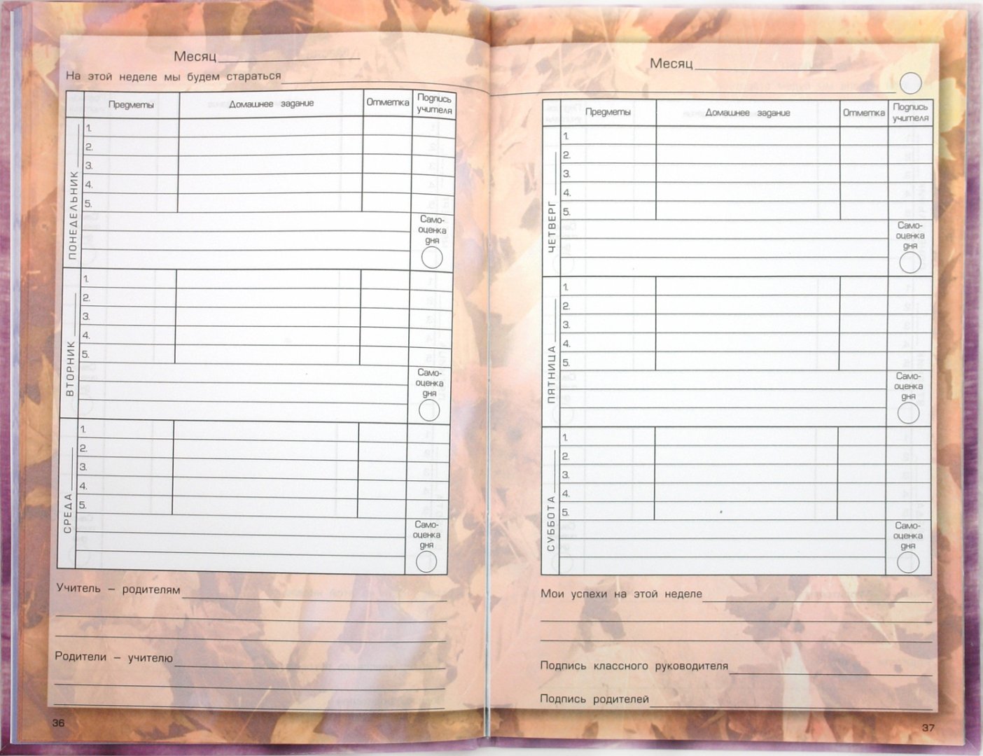 Дневник школьника 4кл ФГОС