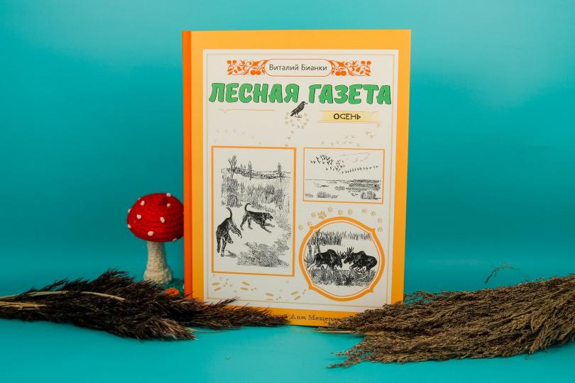 Лесная газета на каждый год. Осень