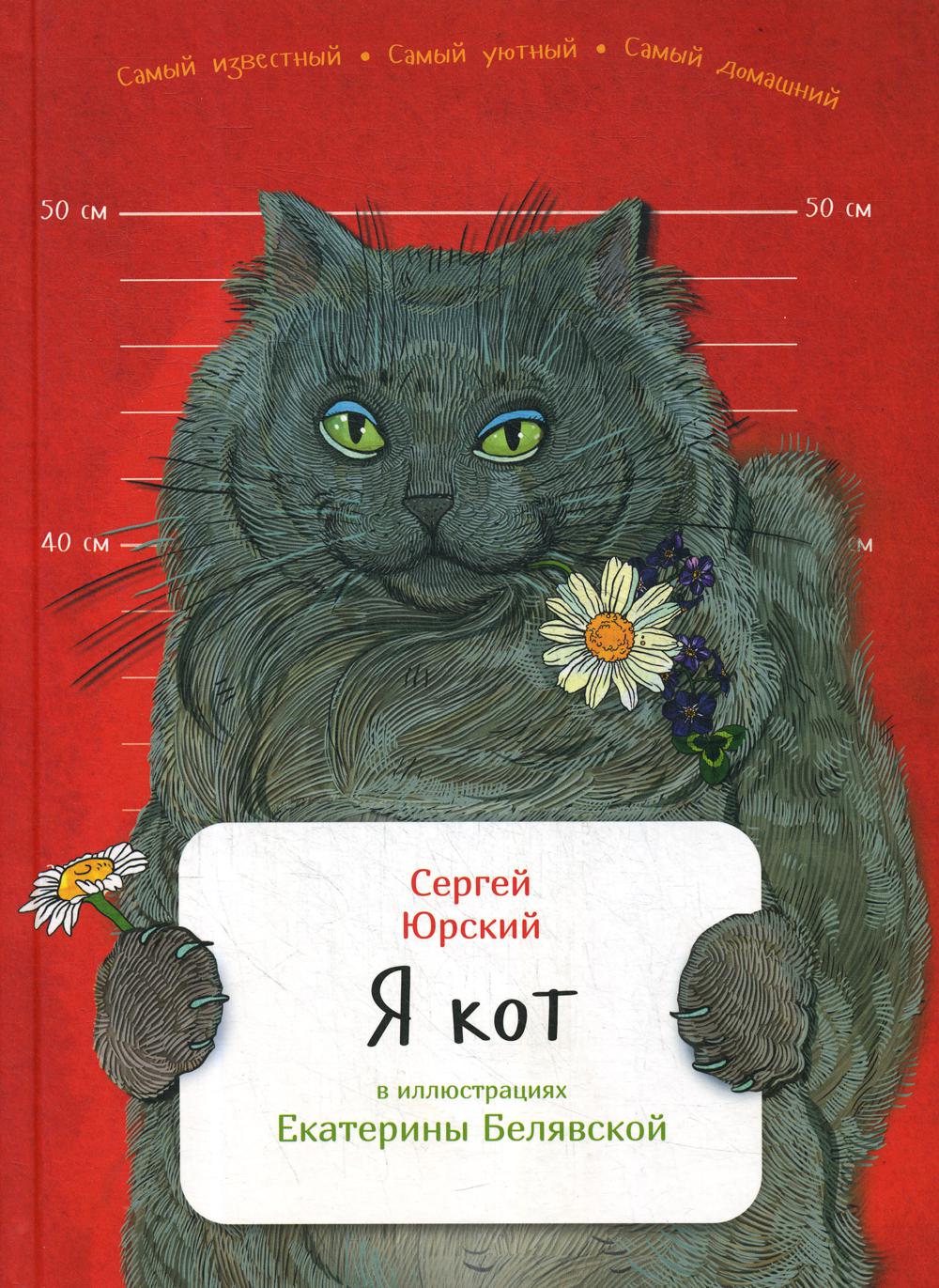 Я кот