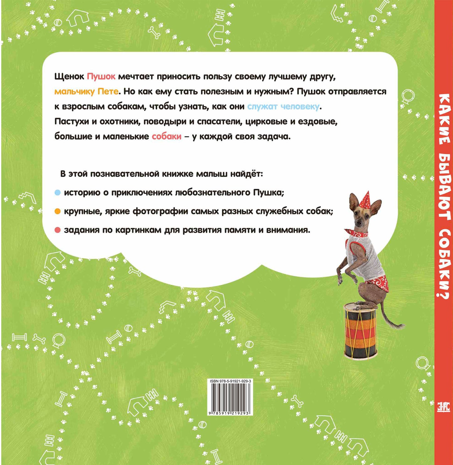 Какие бываю собаки? (ожидается поступление)