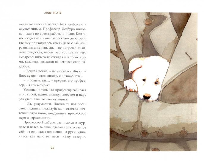 Хатико. Пёс, который ждал