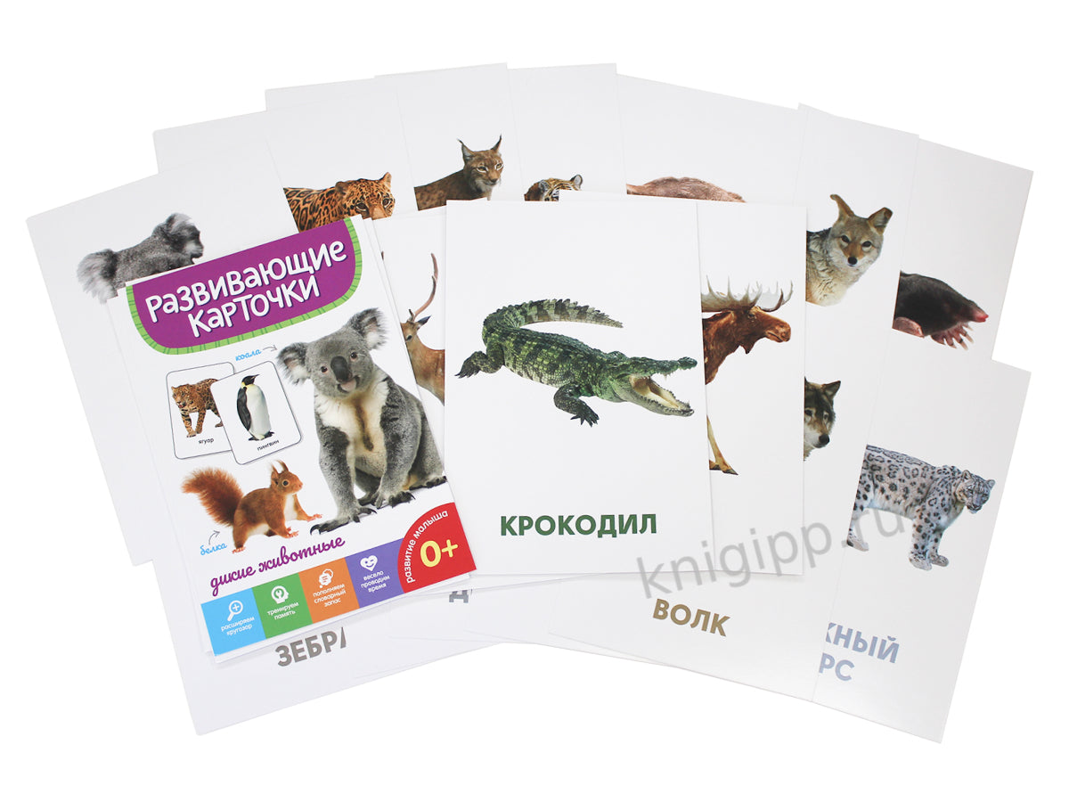 РАЗВИВАЮЩИЕ КАРТОЧКИ. ДИКИЕ ЖИВОТНЫЕ