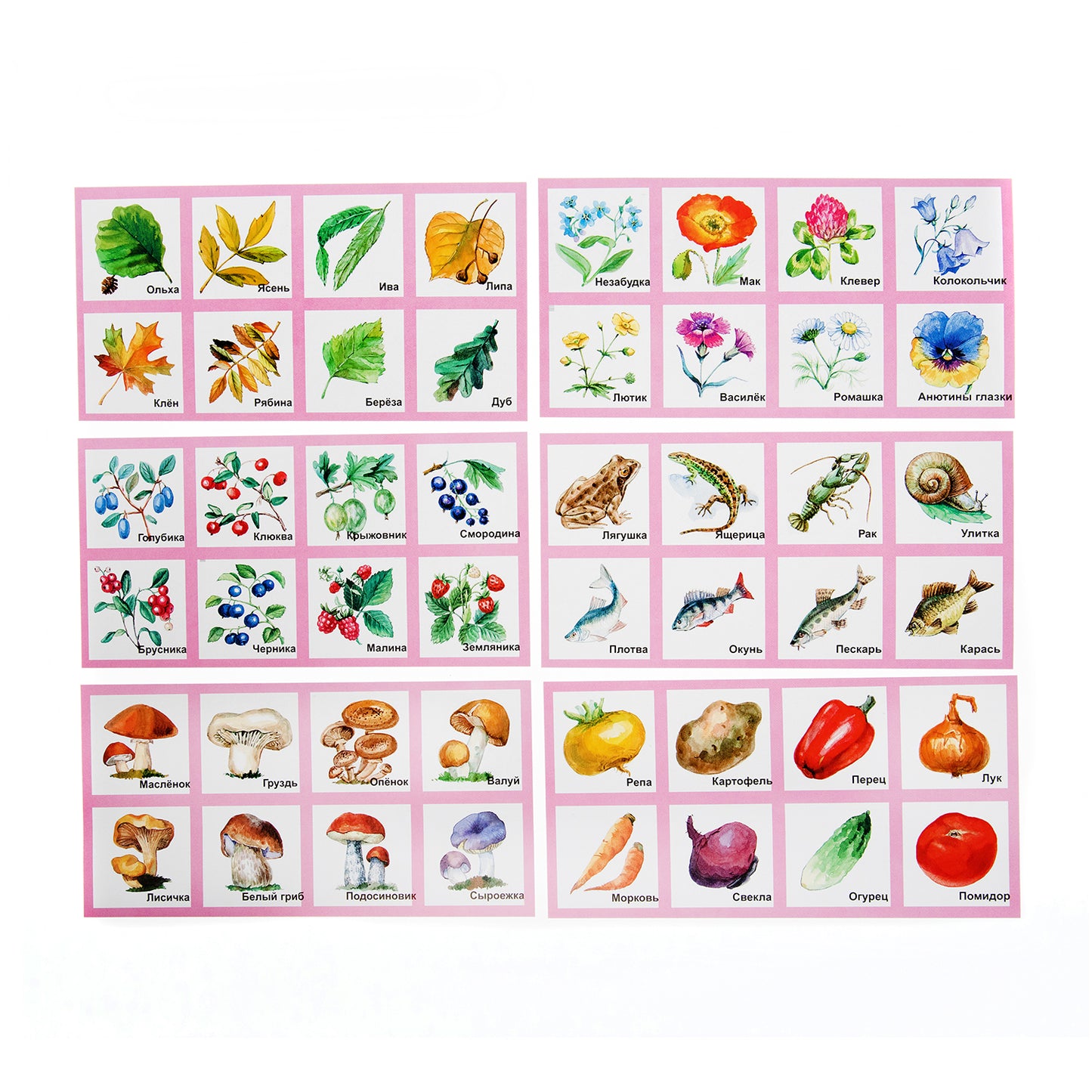 Лото пластмассовое "Родная природа" мал.