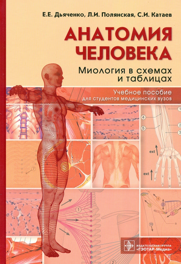 Анатомия человека: миология в схемах и таблицах : учебное пособие (в качестве учебного пособия для студентов, обучающихся по специальностям ВПО группы «Здравоохранение»)