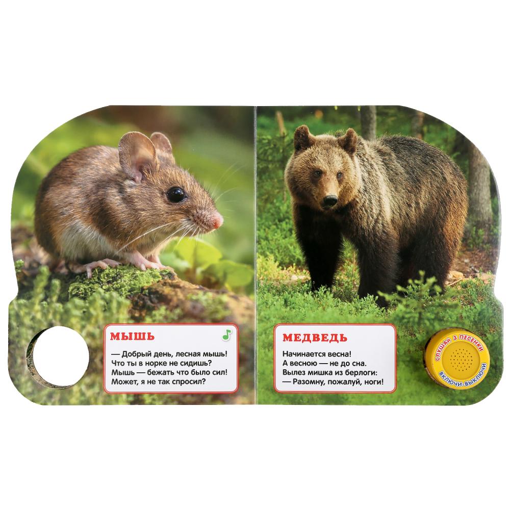 "Умка". Лесные животные. М. Дружинина (1 кн. 3 песенки). Формат: 152х185 мм, 8 карт. стр. в кор.24шт