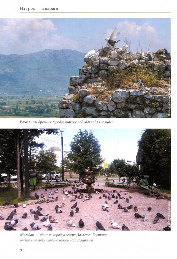 Наши закрытые соседи.