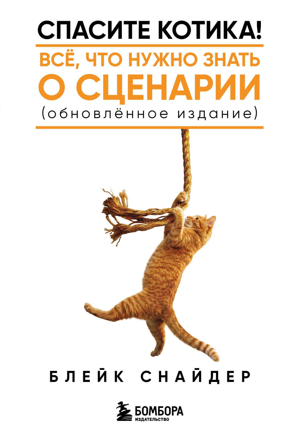 Спасите котика! Все, что нужно знать о сценарии (обновленное издание)