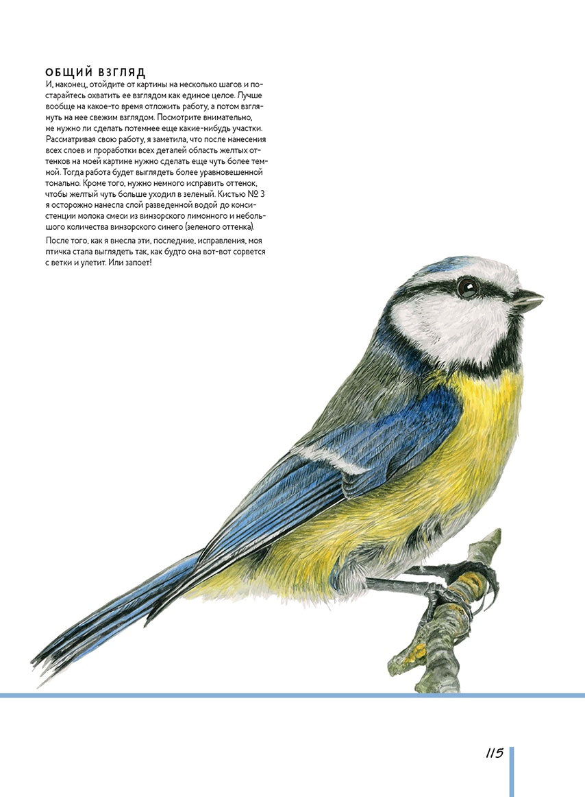 Волшебный мир Анны Мэйсон. Рисуем природу акварелью. Все секреты реалистичной живописи