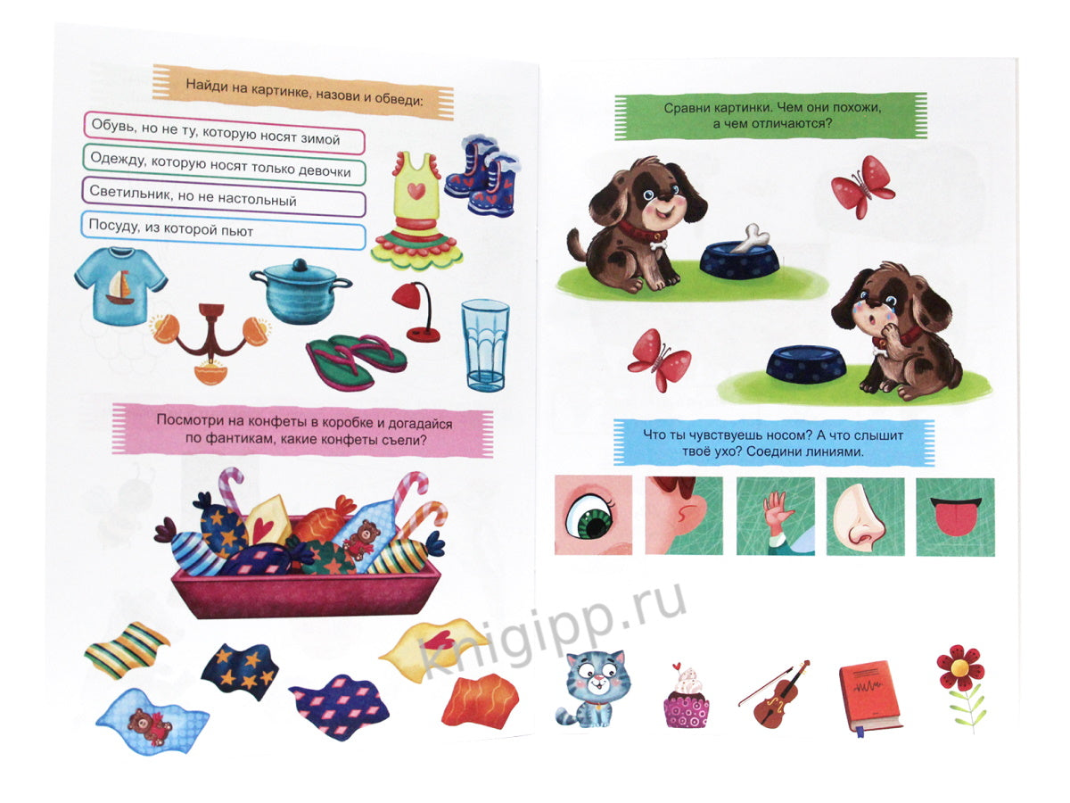 ТРЕНАЖЁР ПО РУССКОМУ 4+