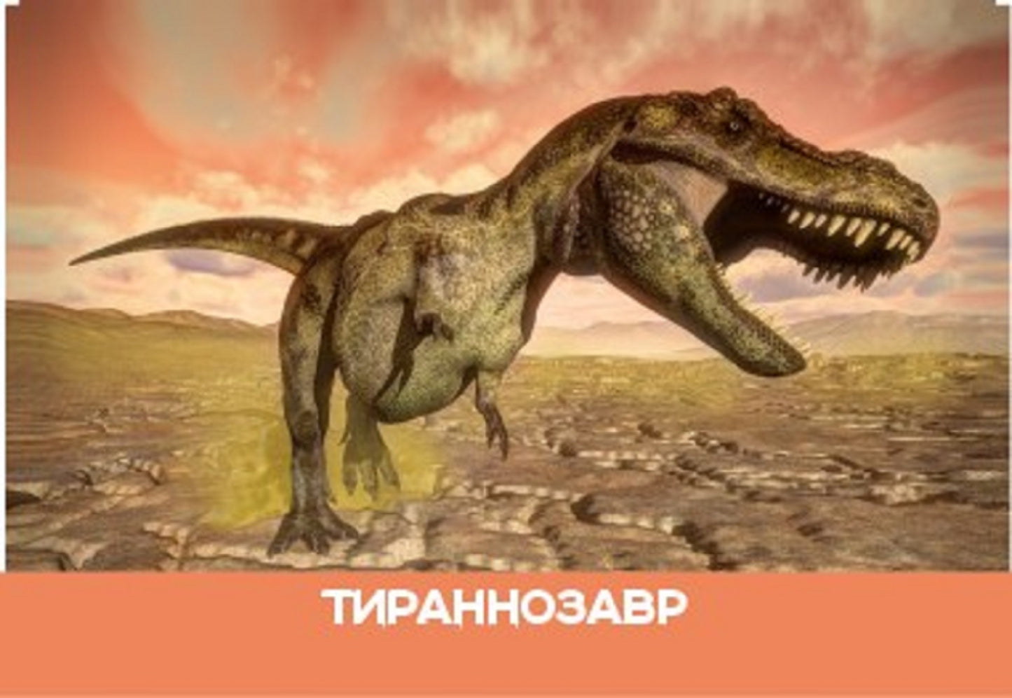 Игра настольная "МЕМО" Динозавры. Серия АКТИВ time