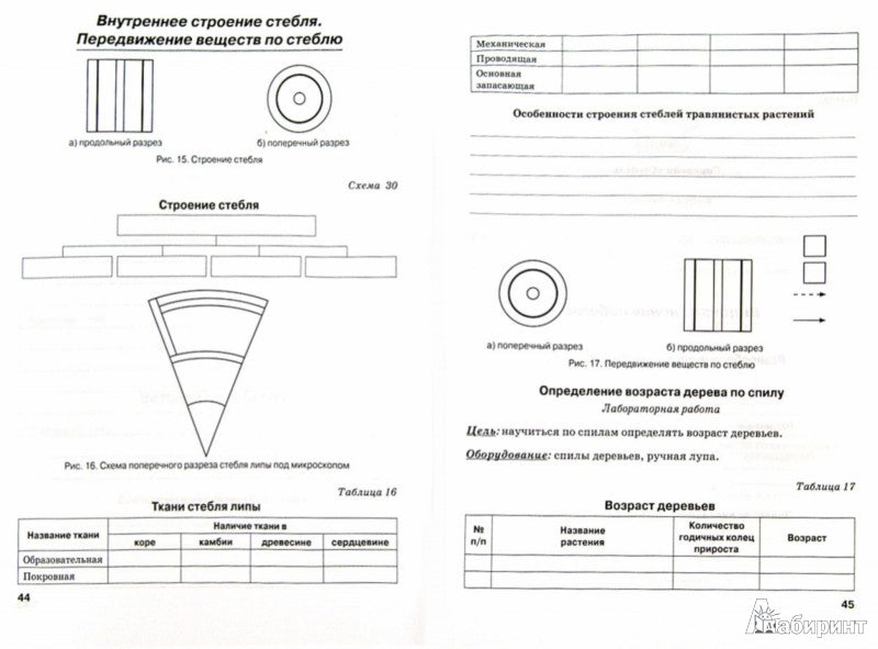 Биология 5кл Растения (Рабочая тетрадь)