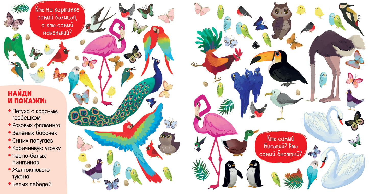 Найди и покажи. Найди и покажи для девчонок/Попова Е.