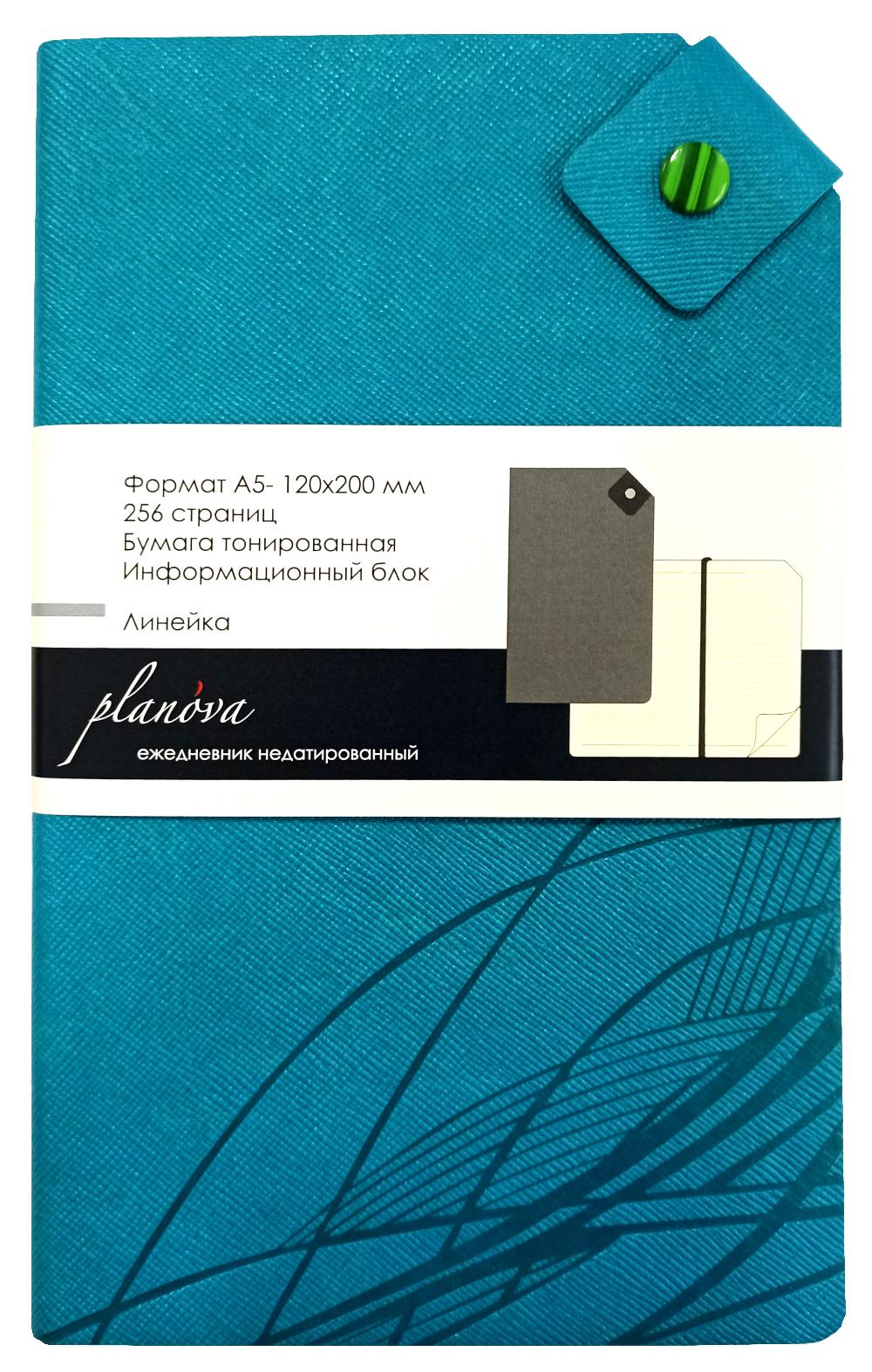 Ежедневник недатированный "DaybyDay" (с угловым хлястиком на кнопке, линейка, А5) (силуэтNT, бирюзовый)