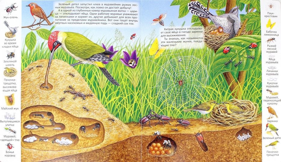 "Первые книги малыша. Учим новые слова!" Где обитают животные?