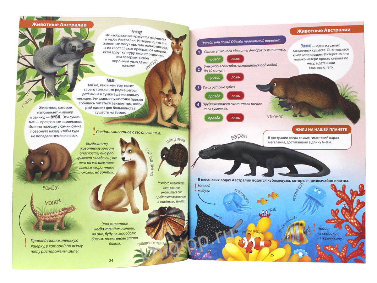 АКТИВИТИ-АТЛАС с наклейками. Животные